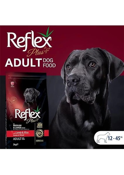 Plus Orta Büyük Irk Kuzu Yetişkin Köpek Maması 3 kg fırsatları