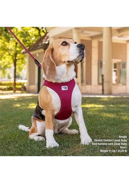 Vest Harness Clasp Air-Mesh Skyblue 2xs