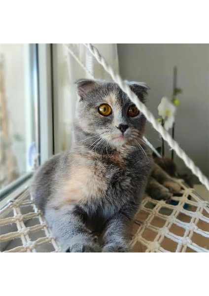 Makrome Vantuzlu Hamak Sade Cam Kedi Yatağı (Açık Gri) fiyatları