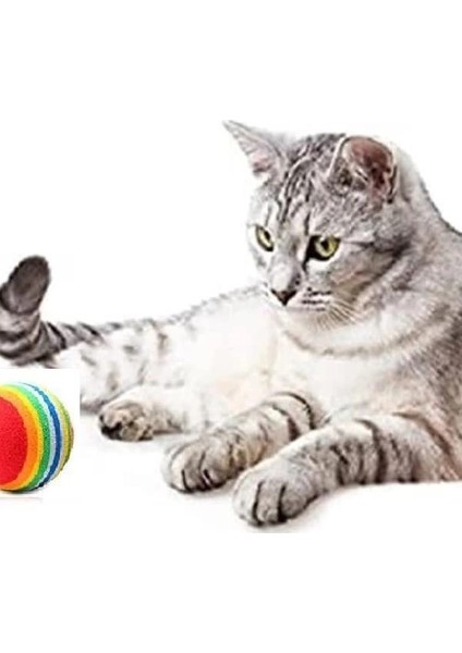 Gökkuşağı Sünger Kedi Köpek Çiğneme Oyun Topu Diş Çıkarma Interaktif Oyuncak 4,2 cm 4