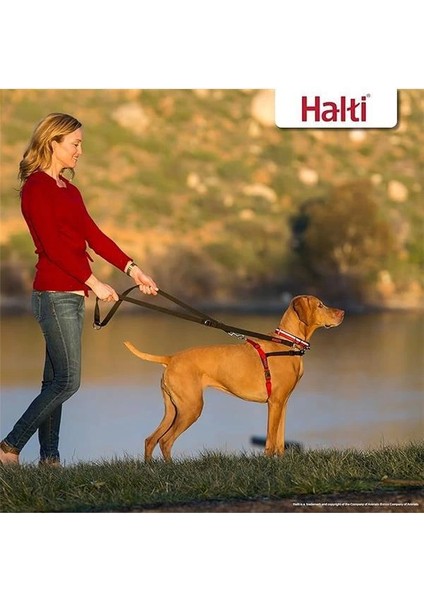 Halti Köpekler Için Önden Kontrollü Göğüs Tasması, Orta Boy indirimleri