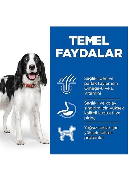 Science Plan Yetişkin Orta Irk Kuzulu ve Pirinçli Köpek Maması 12 + 2 kg modelleri