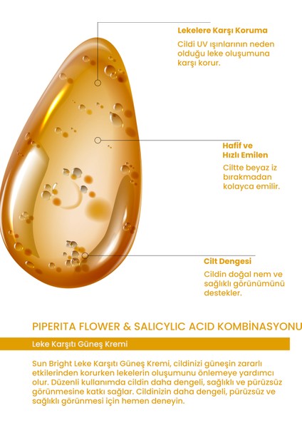Dermobliss Sunbrıght Leke Karşıtı Güneş Kremi 100 ml fiyatları