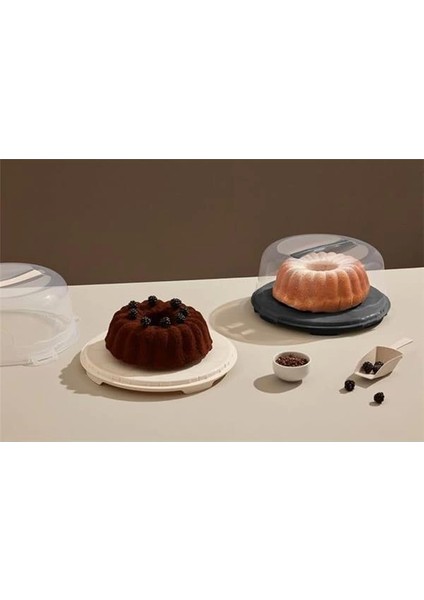 Kek Taşıma Kabı, Bpa Içermeyen Plastik, Saplı ve Kilitli Kek Fanusu, Taşınabilir ve modelleri