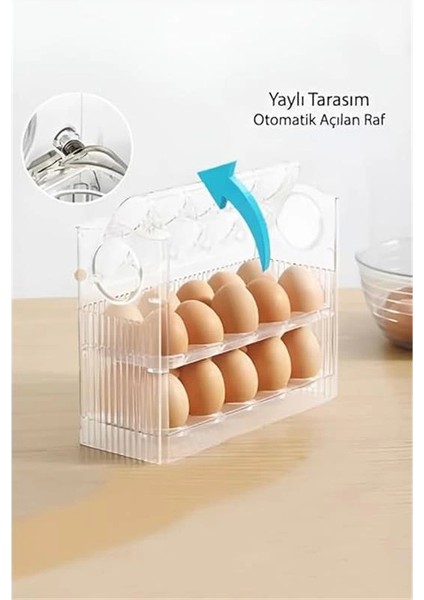 3 Katlı Yumurtalık Buzdolabı Organizeri Saklama Kabı 30 Bölmeli Raflı Yumurta Kutusu Düzenleyici (1 indirimleri