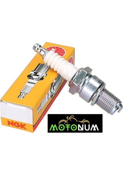 Ngk D8EA Buji M0001