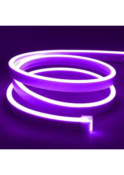 12V Esnek Neon Şerit LED 5 Metre - Mor
