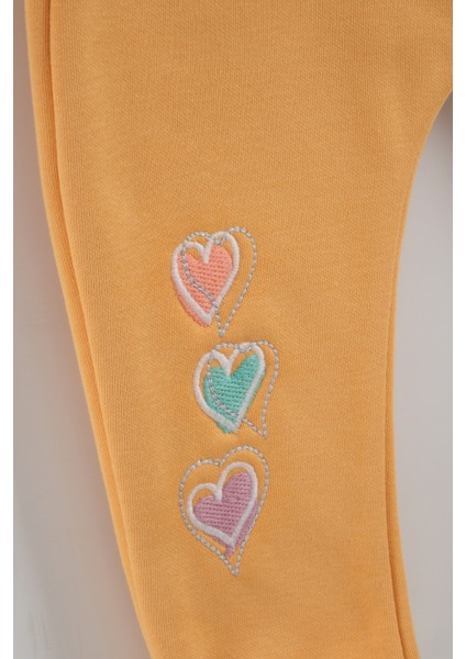 Kız Bebek Kalp Nakışlı 3'lü Eşofman Takım (9-12-18 Ay) modelleri