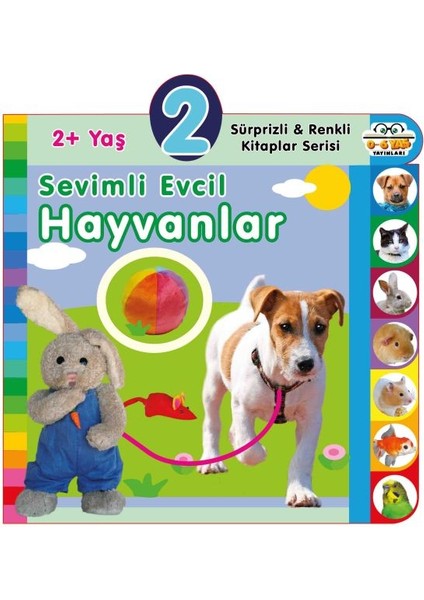 Yaş Sevimli Evcil Hayvanlar (2+Yaş)