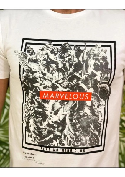 Erkek Regular Fit Bisiklet Yaka Örme,beyaz Renk Kısa Kol Tshirt modelleri