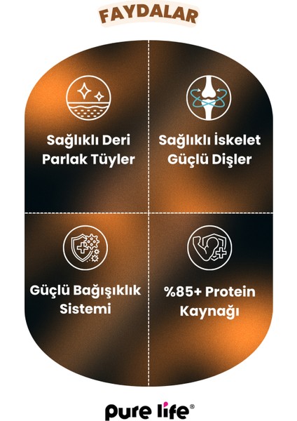 Purelife Plus Somonlu Tavuklu Yavru Kedi Maması 12KG