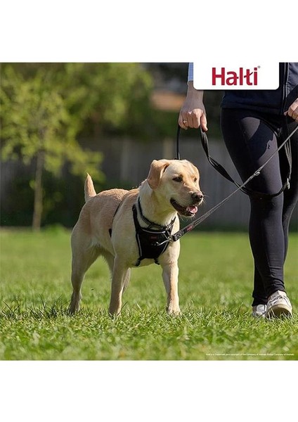Halti Köpek Çekme Önleyici Göğüs Tasması, Orta Boy indirimleri
