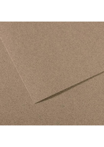 Fon Kartonu (Dokulu) Mı-Teıntes 50X65 160 gr Grey 431