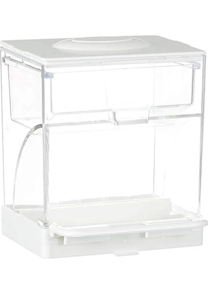 Quik Kuşlar Için Akıllı Yemlik