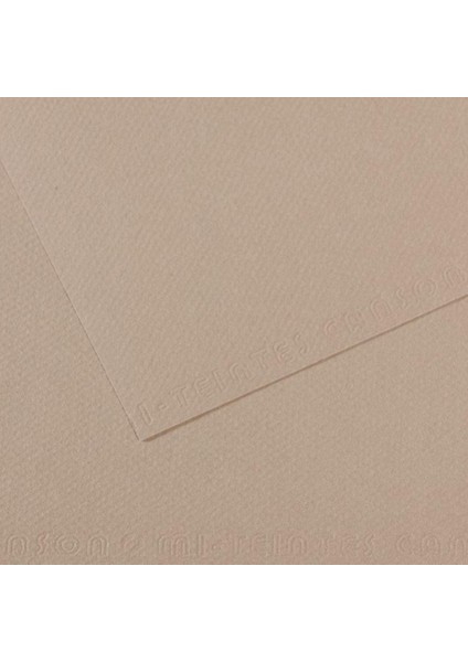 Fon Kartonu (Dokulu) Mı-Teıntes Sh Canmt 50X65 160 gr Grey 122