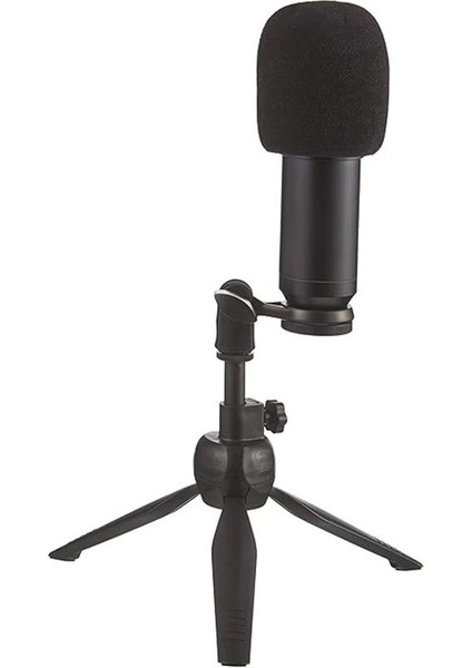 Jwin Rms-14 Condenser Stüdyo Youtuber Ses Kayıt USB Girişli Mikrofon Seti Sünger Masaüstü Stand modelleri