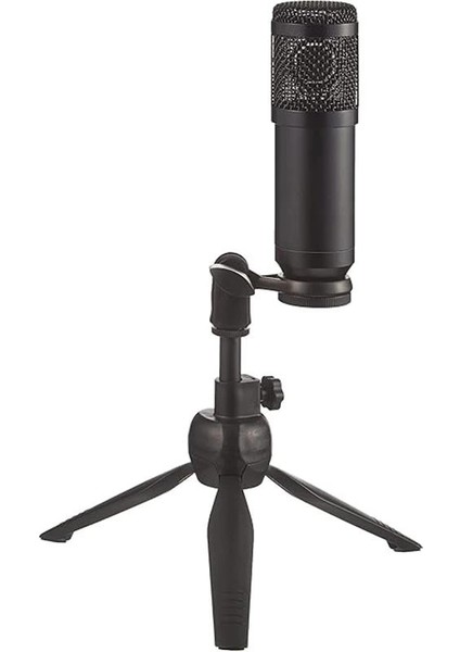 Jwin Rms-14 Condenser Stüdyo Youtuber Ses Kayıt USB Girişli Mikrofon Seti Sünger Masaüstü Stand fırsatları