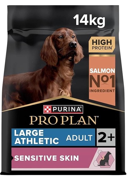 Large Athletic Adult Somonlu Köpek Maması 14 kg