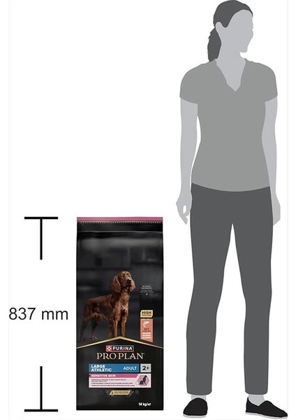 Large Athletic Adult Somonlu Köpek Maması 14 kg modelleri