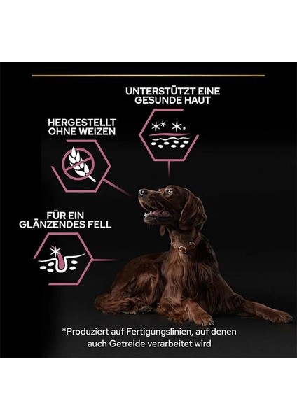 Large Athletic Adult Somonlu Köpek Maması 14 kg fırsatları
