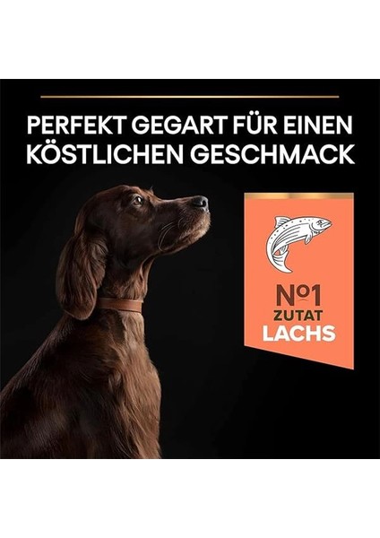 Large Athletic Adult Somonlu Köpek Maması 14 kg indirimleri