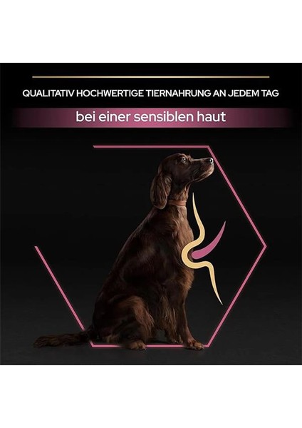 Large Athletic Adult Somonlu Köpek Maması 14 kg