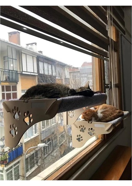 Ata Home Ahşap Cama Yapışan Kedi Yatağı Vantuzlu modelleri