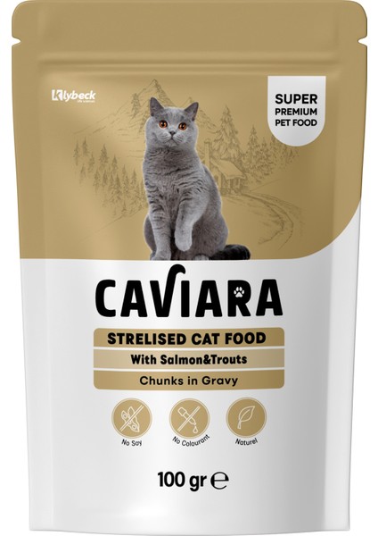 Pouch Sos Içinde Et Parçacıklı Somon ve Alabalıklı Kısır Kedi Maması 100 gr