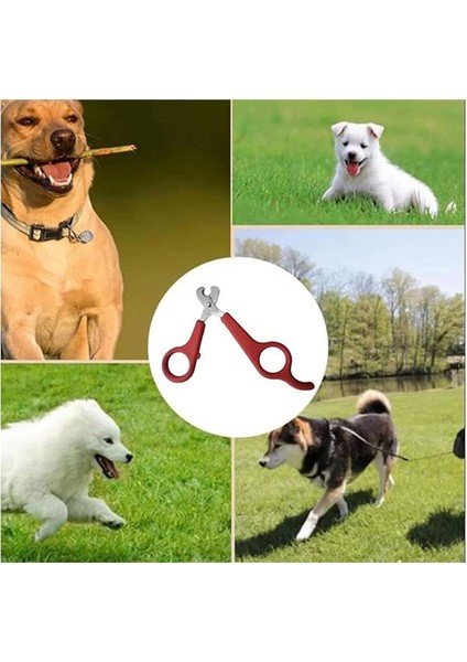 ® Kedi Tırnak Makası Çelik Ergonomik Tutuş Evcil Hayvan Köpek Tırnak Makası (Ömür Boyu Garantili)