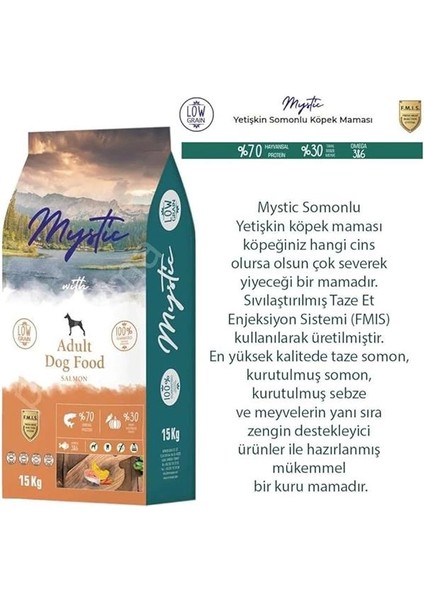 Az Tahıllı Yetişkin Köpek Maması Somonlu 15 kg modelleri