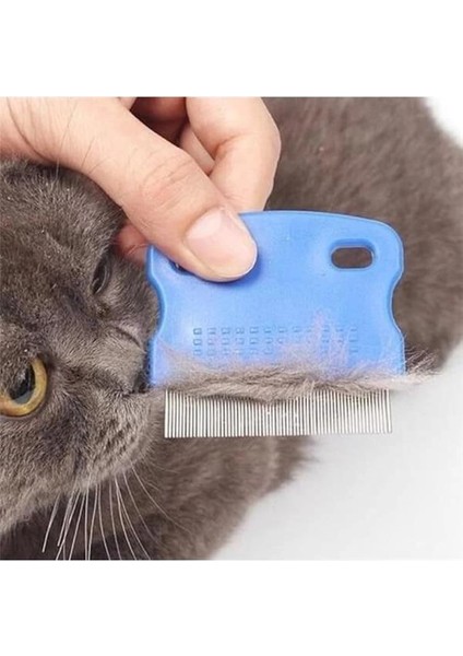 ® 4'lü Kedi Köpek Tarağı Seti Buharlı Kedi Köpek Tarama Eldiveni Basmalı Otomatik Tarak Bit Pire indirimleri
