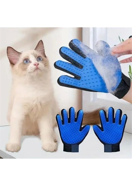 ® 4'lü Kedi Köpek Tarağı Seti Buharlı Kedi Köpek Tarama Eldiveni Basmalı Otomatik Tarak Bit Pire