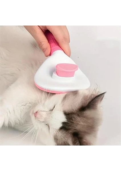 ® 4'lü Kedi Köpek Tarağı Seti Buharlı Kedi Köpek Tarama Eldiveni Basmalı Otomatik Tarak Bit Pire