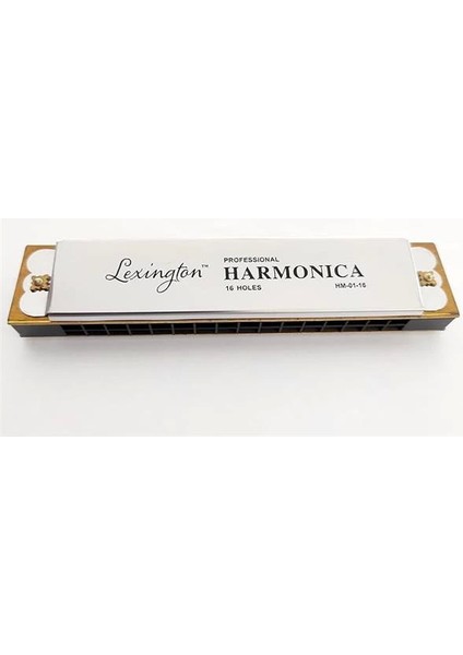LMHM0116 Mızıka 16 Delik Profesyonel Harmonica Kutulu