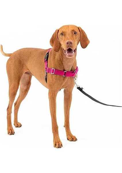 Easy Walk No-Pull Köpek Göğüs Tasması, Çekmeyi Önlemeye Yardımcı, Kontrolü Ele Alın ve