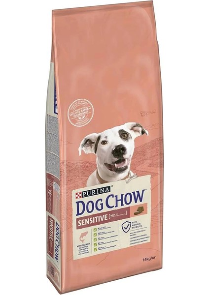 -Purina Somon Balıklı Yetişkin Köpek Maması 14 kg