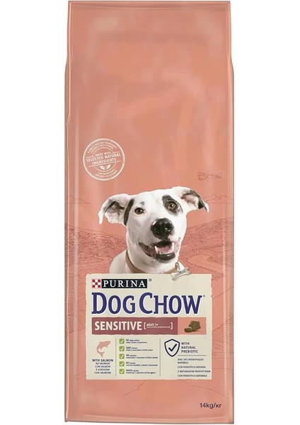 -Purina Somon Balıklı Yetişkin Köpek Maması 14 kg fiyatları