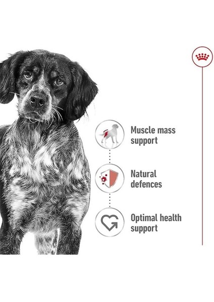 Medium Kuru Köpek Maması, Yetişkin, 15 kg indirimleri