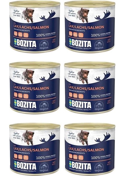 Somonlu Yaş Köpek Maması 625 gr 6 Adet
