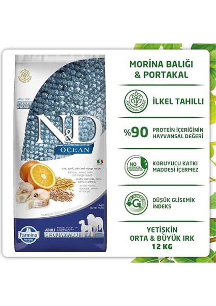 N&d Düşük Tahıllı Ocean Morina Balıklı Portakallı Yetişkin Köpek Maması 12 kg fırsatları