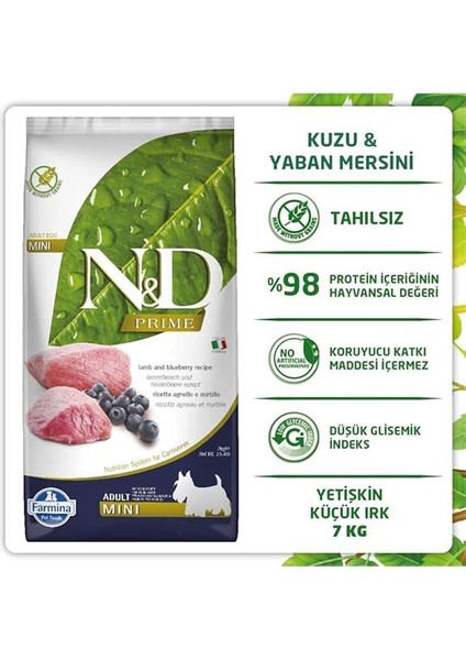 Prime Tahılsız Köpek Maması, Kuzu & Yabanmersini Yetişkin Mini 7 kg modelleri