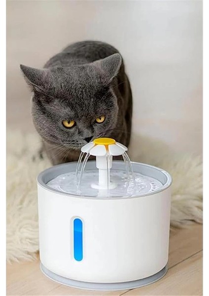 Pet Kedi Köpek Için Otomatik Su Pınarı Su Çeşmesi Su Sebili 2.4 Lt USB ile Çalışır