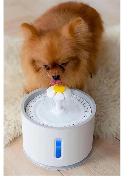 Pet Kedi Köpek Için Otomatik Su Pınarı Su Çeşmesi Su Sebili 2.4 Lt USB ile Çalışır modelleri