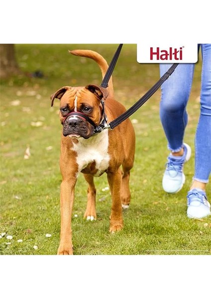 Halti Baş Yaka, Köpekler Için Ayarlanabilir Kafa Halter Yaka, Büyük Köpekler Için Çekme Durağına Baş indirimleri