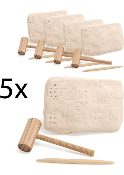 Eğitici Fosil Kazı Kiti - (Excavation Kit) - Toplu Etkinlik - 5 Adet