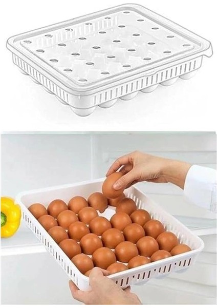 30'lu Kapaklı Yumurta Saklama Kabı, Akrilik Plastik Yumurtalık Organizer