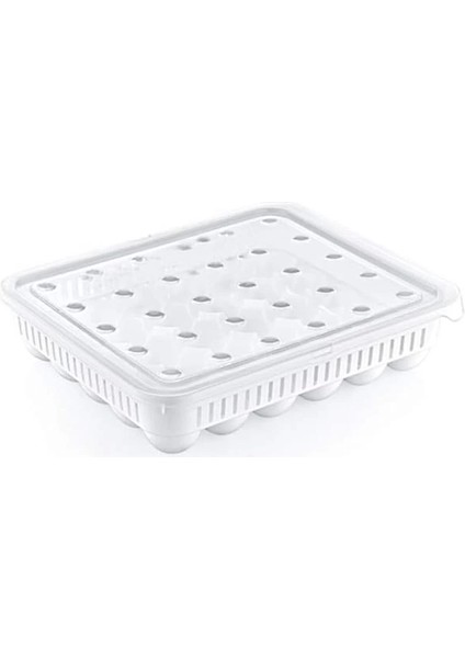 30'lu Kapaklı Yumurta Saklama Kabı, Akrilik Plastik Yumurtalık Organizer fiyatları