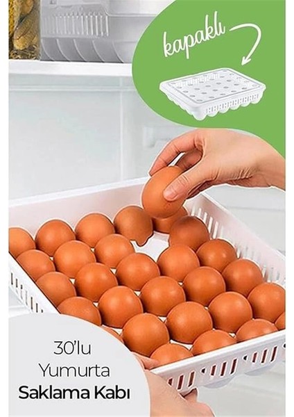 30'lu Kapaklı Yumurta Saklama Kabı, Akrilik Plastik Yumurtalık Organizer modelleri