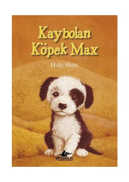 Kaybolan Köpek Max