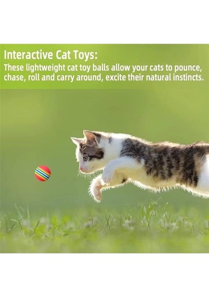 Sünger Kedi Köpek Çiğneme ve Oyun Topu 4 Adet fırsatları